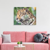 Mooie Jaguar in het wild Canvas Afdruk (Insitu (Woonkamer))