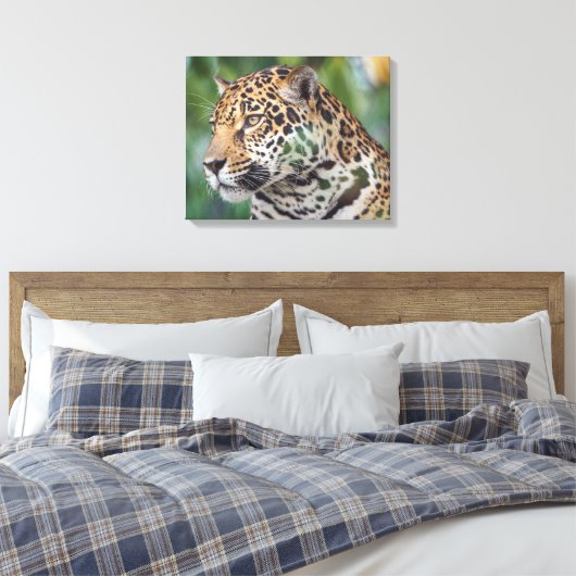 Mooie Jaguar in het wild Canvas Afdruk (Insitu (Slaapkamer))