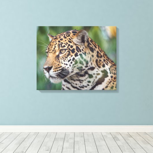 Mooie Jaguar in het wild Canvas Afdruk (Insitu (Houten vloer))