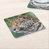 Mooie Jaguar in het wild Kartonnen Onderzetters (Schuin)