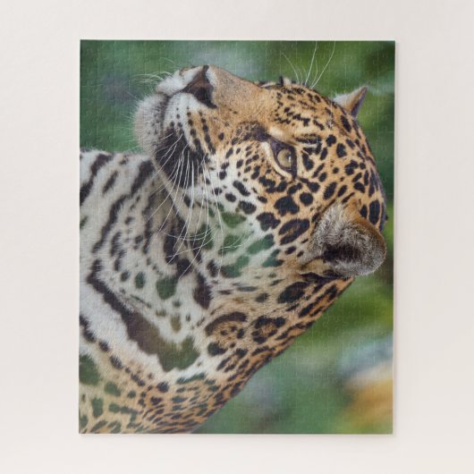 Mooie Jaguar in het wild Legpuzzel (Verticaal)