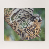 Mooie Jaguar in het wild Legpuzzel (Horizontaal)