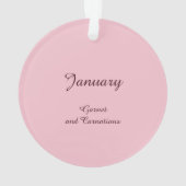 Mooie januari Fairy in Anjers Ornament (achterkant)