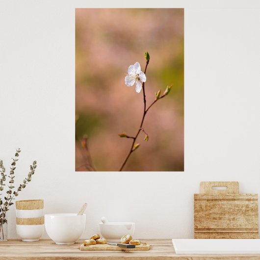 Mooie Japanse abrikozenbloem Poster (Keuken)