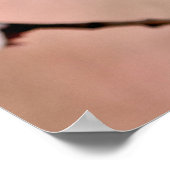 Mooie Japanse abrikozenbloemen Poster (Hoek)