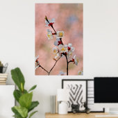 Mooie Japanse abrikozenbloemen Poster (Thuiskantoor)