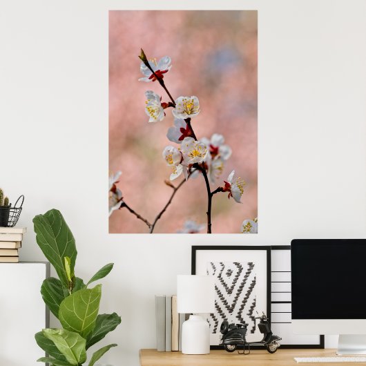 Mooie Japanse abrikozenbloemen Poster (Thuiskantoor)