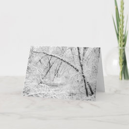 Mooie jaren 1950 Sneeuwwitje Bedekte Houten Creek Feestdagen Kaart