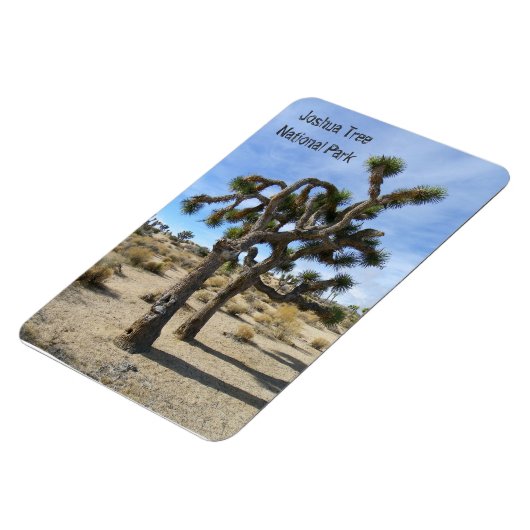 Mooie Joshua Tree Premium magneet! Magneet (Linkerzijde)