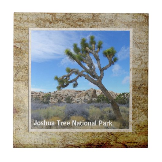 Mooie Joshua Tree Tile! Tegeltje (Voorkant)