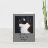 Mooie kaartje voor cat-briefkaarten kaart (Voorkant)