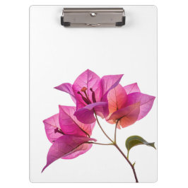 Mooie Kagoj Phool Papierbloem Botanische Flora Klembord