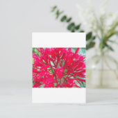 Mooie Kaleidoscoop van Kleurrijke Rode Milkweed Briefkaart (Staand voorkant)