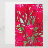 Mooie Kaleidoscoop van Kleurrijke Rode Milkweed Briefpapier (Voorkant / Achterkant)