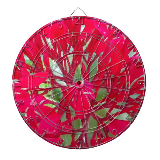 Mooie Kaleidoscoop van Kleurrijke Rode Milkweed Dartbord (Voorkant)