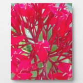 Mooie Kaleidoscoop van Kleurrijke Rode Milkweed Fotoplaat (Voorkant)