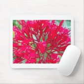 Mooie Kaleidoscoop van Kleurrijke Rode Milkweed Muismat (Met muis)