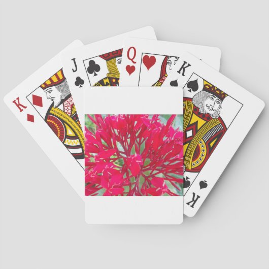 Mooie Kaleidoscoop van Kleurrijke Rode Milkweed Pokerkaarten (Achterkant)