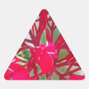 Mooie Kaleidoscoop van Kleurrijke Rode Milkweed Sticker