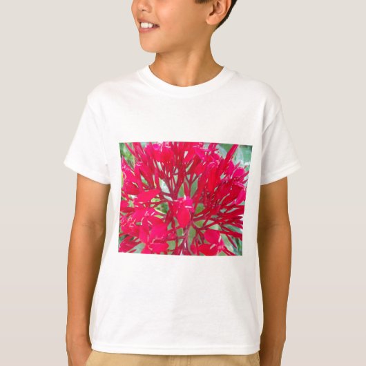 Mooie Kaleidoscoop van Kleurrijke Rode Milkweed T-shirt (Voorkant)