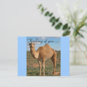 Mooie Kameel Briefkaart (Staand voorkant)