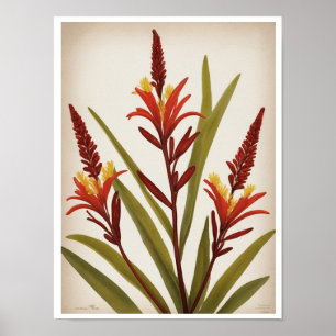 Mooie Kangoeroe Paw Flower Wall Poster