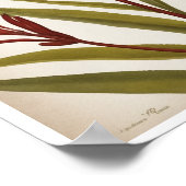 Mooie Kangoeroe Paw Flower Wall Poster (Hoek)