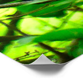 Mooie Kardinaal bos poster van het vogellentesbos (Hoek)