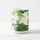 Mooie kardinaal in een kruipschildpad. koffiemok (Center)