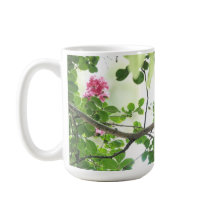 Mooie kardinaal in een kruipschildpad.