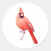 Mooie kardinaal ronde sticker (Voorkant)