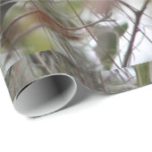 Mooie kardinale foto cadeaupapier (Rol Hoek)