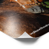 Mooie kastanjepaarden in de zomer van de zon foto afdruk (Hoek)