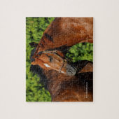 Mooie kastanjepaarden in de zomer van de zon legpuzzel (Verticaal)