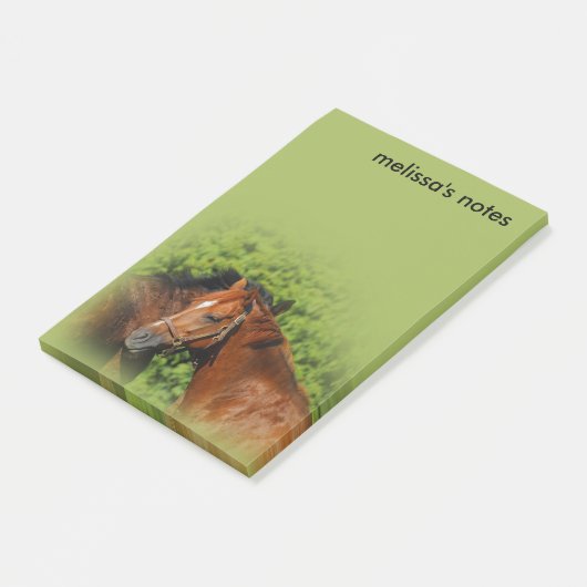 Mooie kastanjepaarden in de zomer van de zon post-it® notes (Schuin)