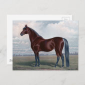 Mooie kastanjepaarse kunst briefkaart (Voorkant / Achterkant)