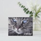 Mooie kat ansichtkaart briefkaart (Staand voorkant)
