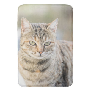 Mooie kat badmat