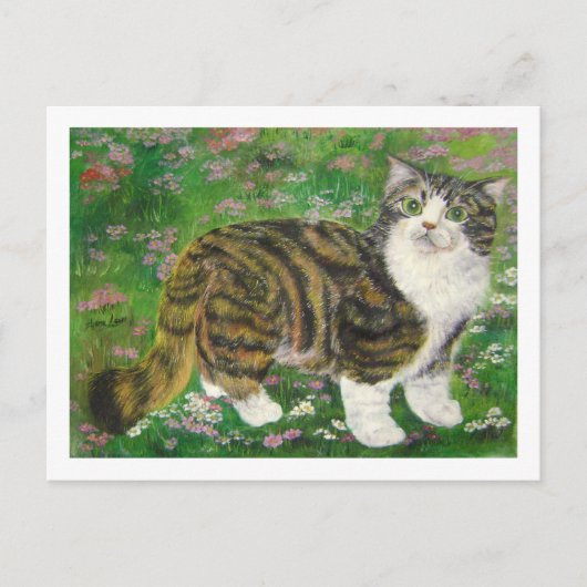 mooie kat briefkaart (Voorkant)