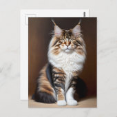 mooie kat briefkaart (Voorkant / Achterkant)