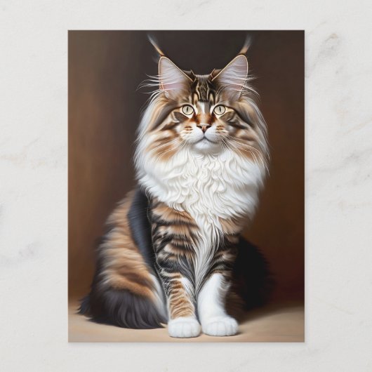 mooie kat briefkaart (Voorkant)