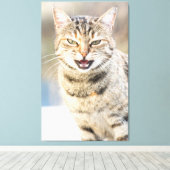 Mooie kat canvas afdruk (Insitu (Houten vloer))