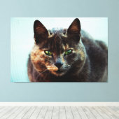 Mooie kat canvas afdruk (Insitu (Houten vloer))