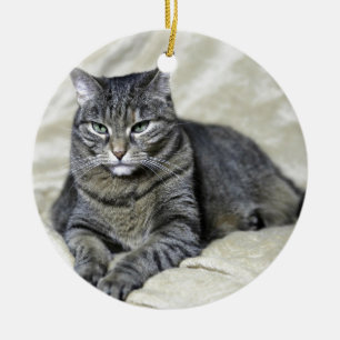 Mooie kat die ligt keramisch ornament