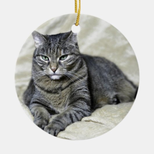 Mooie kat die ligt keramisch ornament (Voorkant)