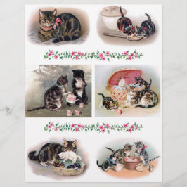 Mooie kat en kitten illustraties H. Maguire