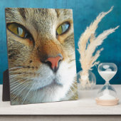 Mooie kat fotoplaat (Zijkant)