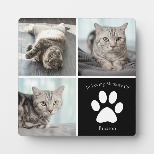 Mooie kat-herdenking aangepaste huisdier aandenken fotoplaat (Voorkant)