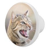 Mooie kat keramische knop (Rechts)