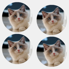 Mooie kat-labels labels